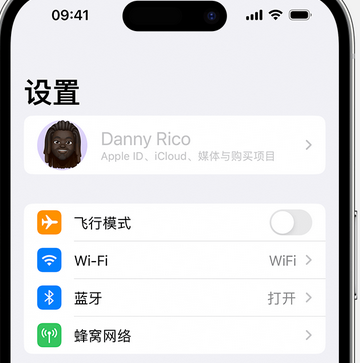 洱源appleID维修服务iPhone设置中Apple ID显示为灰色无法使用 