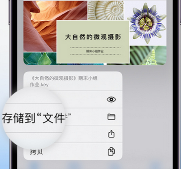 洱源apple维修中心分享iPhone文件应用中存储和找到下载文件