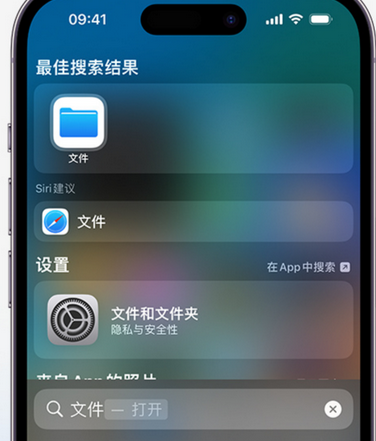 洱源apple维修中心分享iPhone文件应用中存储和找到下载文件 