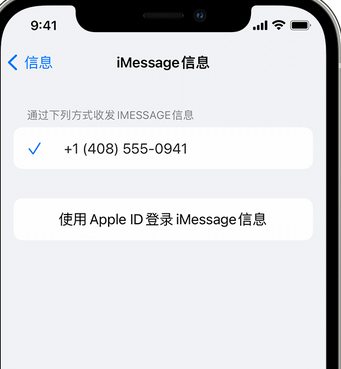 洱源apple维修iPhone上无法正常发送iMessage信息