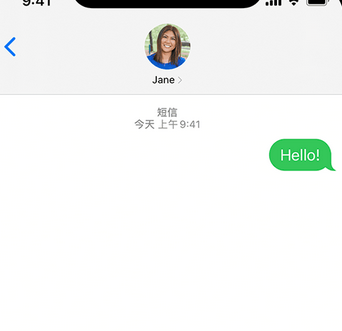 洱源apple维修iPhone上无法正常发送iMessage信息