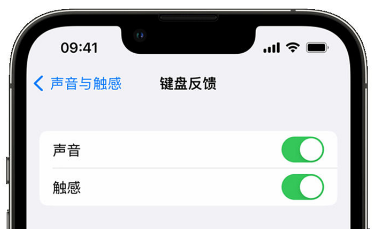 洱源苹果手机维修分享iPhone 14触感键盘使用方法 