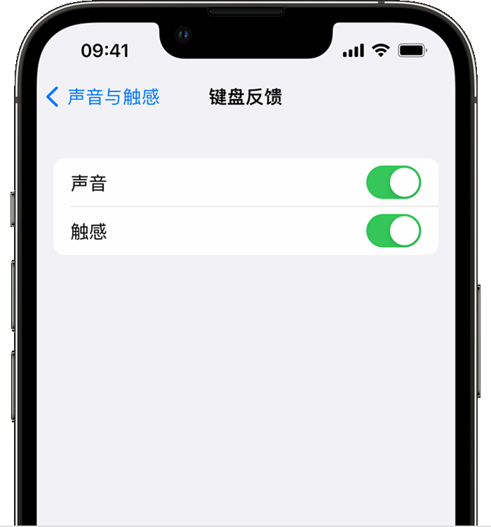 洱源苹果14维修店分享如何在 iPhone 14 机型中使用触感键盘 