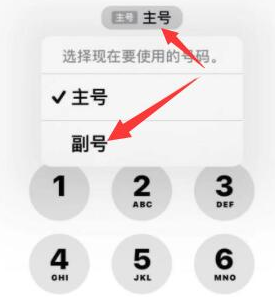 洱源苹果14维修店分享iPhone 14 Pro Max使用副卡打电话的方法 