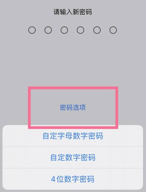 洱源苹果14维修分享iPhone 14plus设置密码的方法 