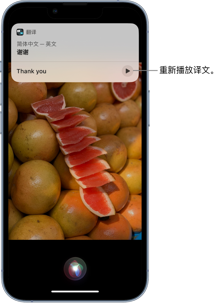 洱源苹果14维修分享 iPhone 14 机型中使用 Siri：了解 Siri 能帮你做什么 