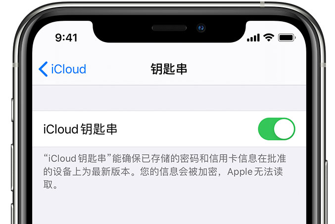 洱源苹果手机维修分享在 iPhone 上开启 iCloud 钥匙串之后会储存哪些信息 