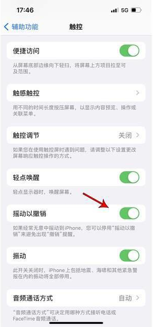 洱源苹果手机维修分享iPhone手机如何设置摇一摇删除文字 
