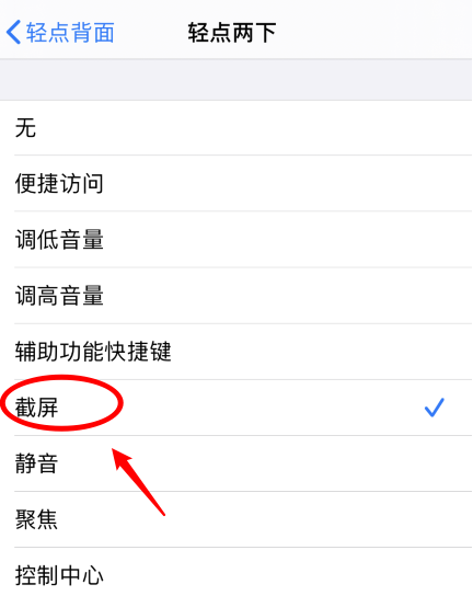 洱源苹果手机维修分享iPhone12如何启用双击截屏 