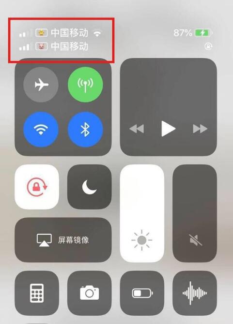 洱源苹果手机维修分享为 iPhone 12 双卡设置标签 