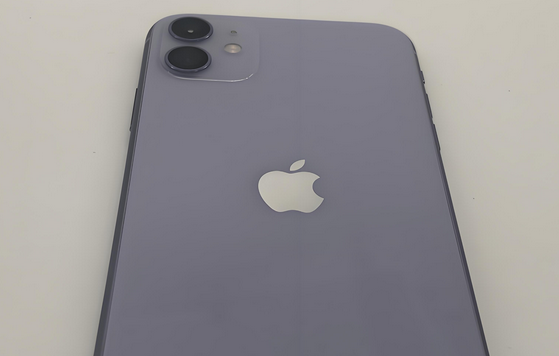 洱源苹果11系统维修分享iPhone11手机系统崩溃无法开机如何解决