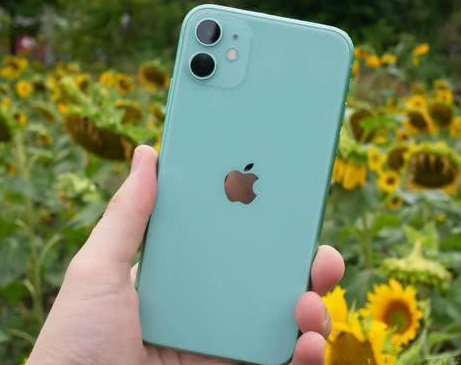 洱源苹果维修点分享iPhone 11锁屏密码认知与使用科普 