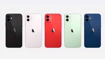 洱源苹果维修点分享iPhone 12锁屏密码系统机制科普 