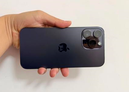 洱源苹果维修点分享iPhone 14 Pro Max黑屏少见故障盘点 
